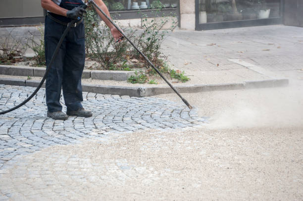 Best Roof Washing  in French Island, WI