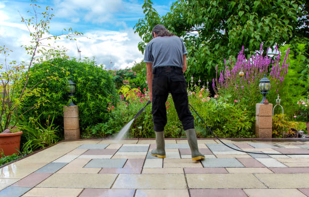 Best Fence Cleaning  in French Island, WI